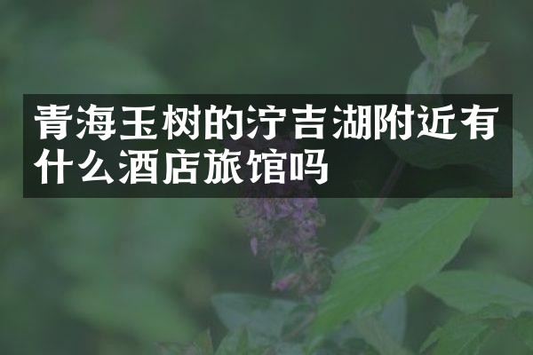 青海玉树的泞吉湖附近有什么酒店旅馆吗