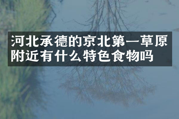 河北承德的京北第一草原附近有什么特色食物吗
