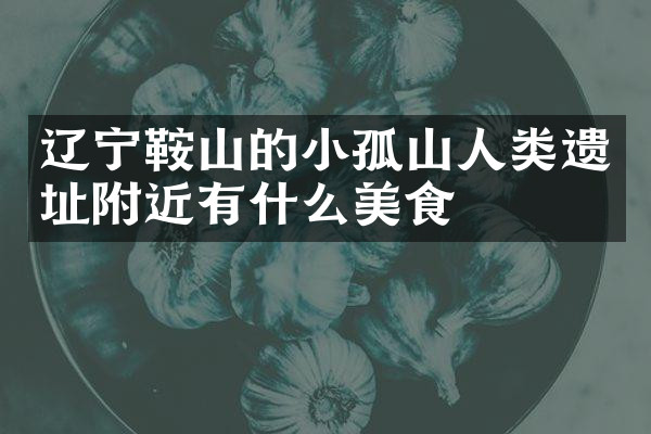 辽宁鞍山的小孤山人类遗址附近有什么美食