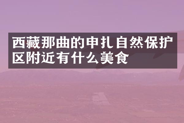 西藏那曲的申扎自然保护区附近有什么美食