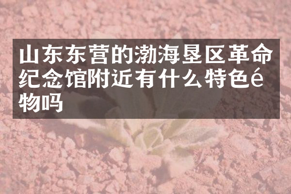 山东东营的渤海垦区革命纪念馆附近有什么特色食物吗