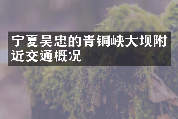 宁夏吴忠的青铜峡大坝附近交通概况