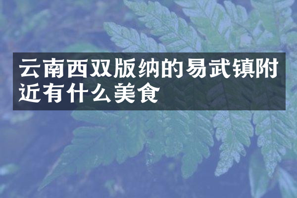 云南西双版纳的易武镇附近有什么美食