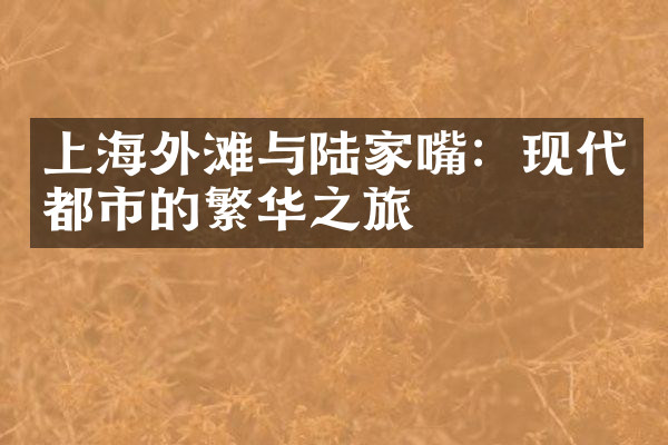 上海外滩与陆家嘴：现代都市的繁华之旅