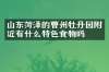 山东菏泽的曹州牡丹园附近有什么特色食物吗