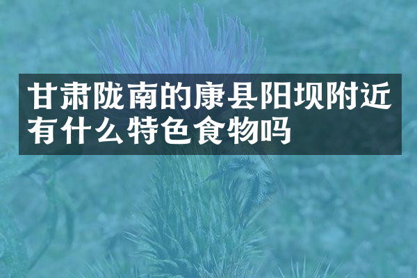 甘肃陇南的康县阳坝附近有什么特色食物吗