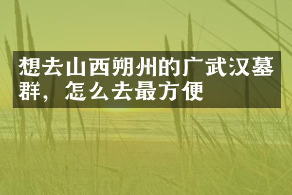想去山西朔州的广武汉墓群，怎么去最方便