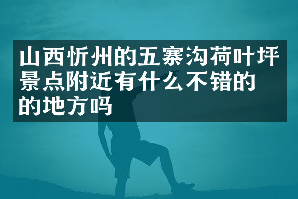 山西忻州的五寨沟荷叶坪景点附近有什么不错的住的地方吗