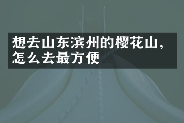 想去山东滨州的樱花山，怎么去最方便
