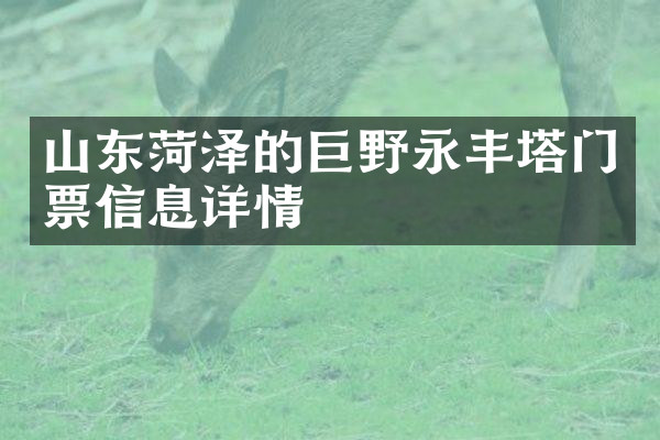 山东菏泽的巨野永丰塔门票信息详情