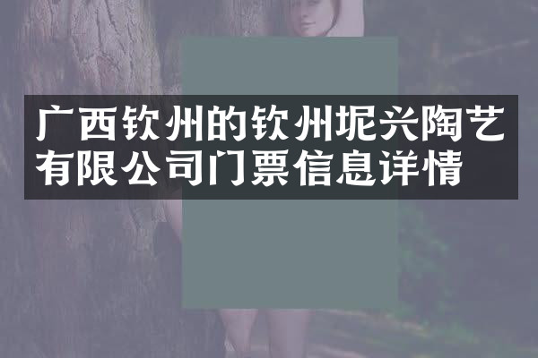广西钦州的钦州坭兴陶艺有限公司门票信息详情