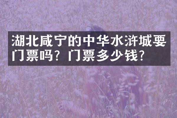 湖北咸宁的中华水浒城要门票吗？门票多少钱？