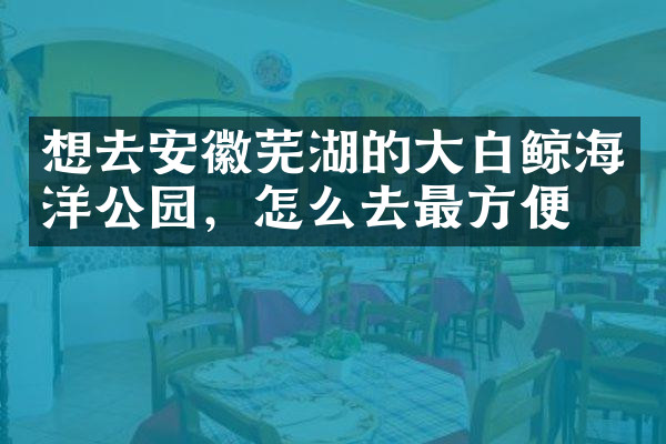 想去安徽芜湖的大白鲸海洋公园，怎么去最方便