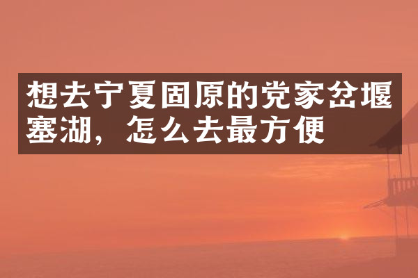 想去宁夏固原的党家岔堰塞湖，怎么去最方便