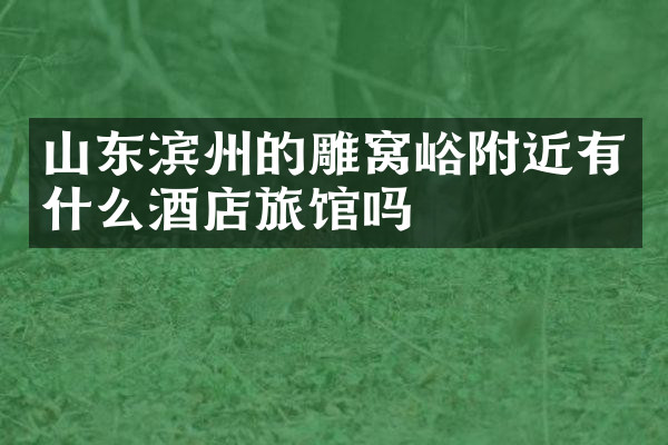 山东滨州的雕窝峪附近有什么酒店旅馆吗