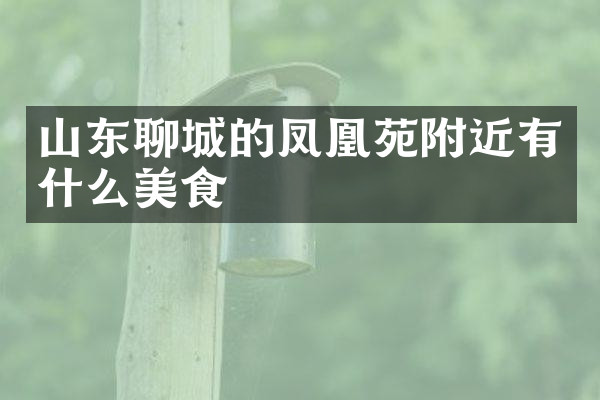 山东聊城的凤凰苑附近有什么美食