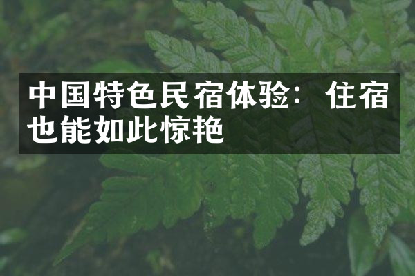 中国特色民宿体验：住宿也能如此惊艳