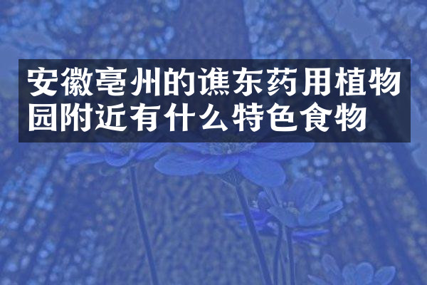 安徽亳州的谯东药用植物园附近有什么特色食物吗