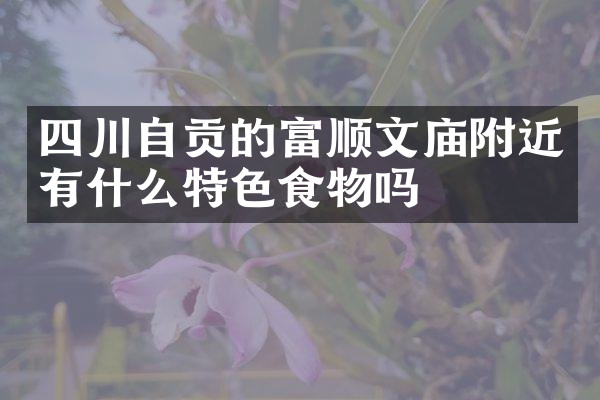 四川自贡的富顺文庙附近有什么特色食物吗