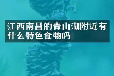 江西南昌的青山湖附近有什么特色食物吗