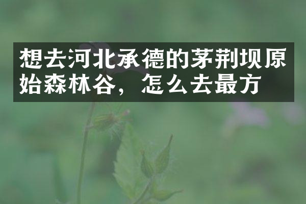想去河北承德的茅荆坝原始森林谷，怎么去最方便