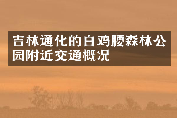 吉林通化的白鸡腰森林公园附近交通概况