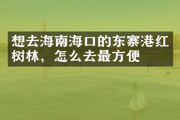 想去海南海口的东寨港红树林，怎么去最方便
