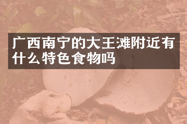 广西南宁的大王滩附近有什么特色食物吗