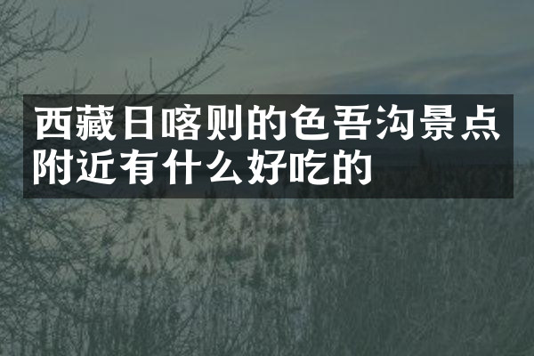 西藏日喀则的色吾沟景点附近有什么好吃的