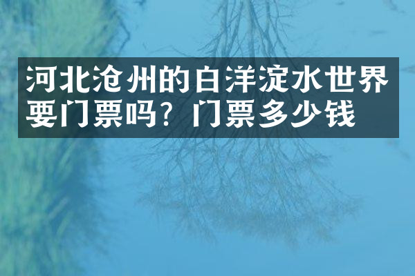 河北沧州的白洋淀水世界要门票吗？门票多少钱？