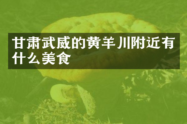 甘肃武威的黄羊川附近有什么美食