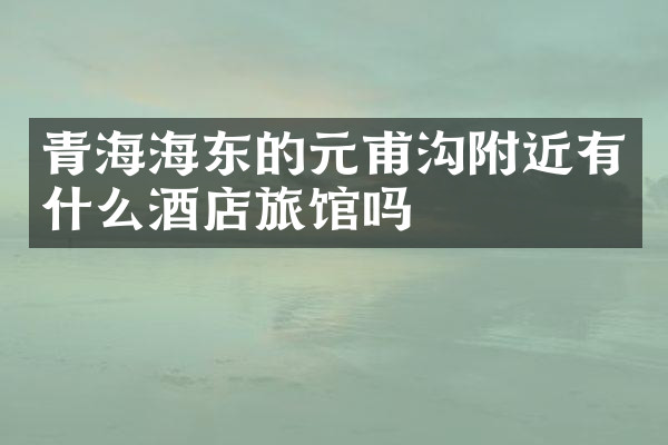 青海海东的元甫沟附近有什么酒店旅馆吗