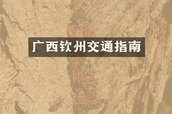 广西钦州交通指南