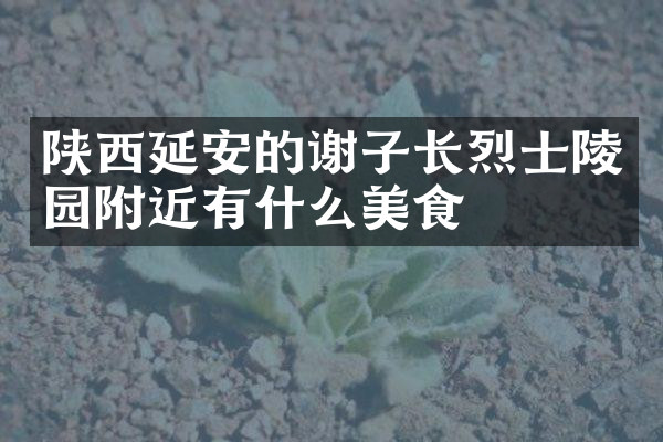 陕西延安的谢子长烈士陵园附近有什么美食