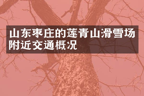 山东枣庄的莲青山滑雪场附近交通概况