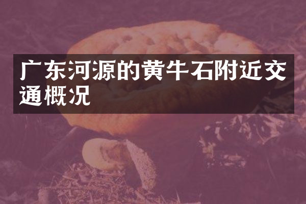 广东河源的黄牛石附近交通概况