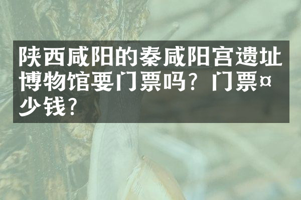陕西咸阳的秦咸阳宫遗址博物馆要门票吗？门票多少钱？