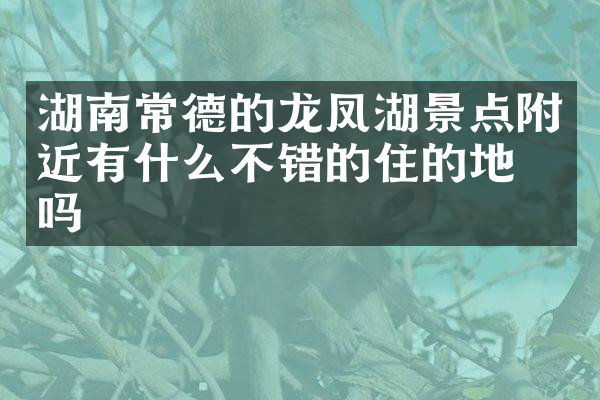 湖南常德的龙凤湖景点附近有什么不错的住的地方吗