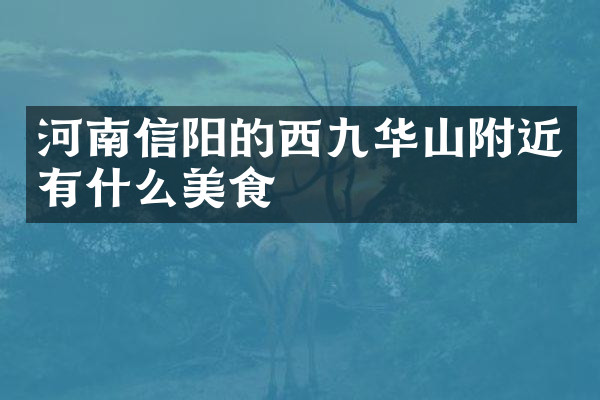 河南信阳的西九华山附近有什么美食