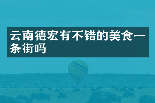 云南德宏有不错的美食一条街吗