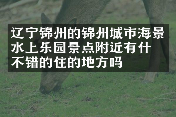 辽宁锦州的锦州城市海景水上乐园景点附近有什么不错的住的地方吗