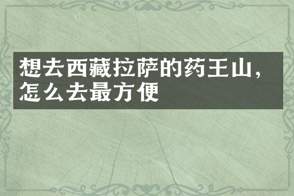 想去西藏拉萨的药王山，怎么去最方便