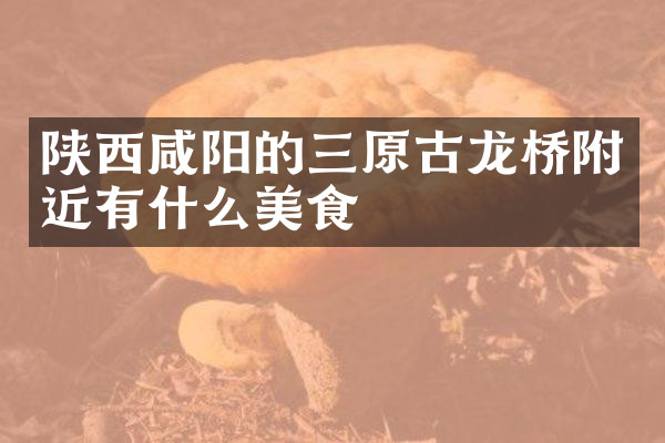 陕西咸阳的三原古龙桥附近有什么美食