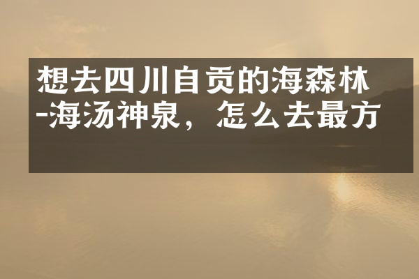 想去四川自贡的燊海森林-海汤神泉，怎么去最方便