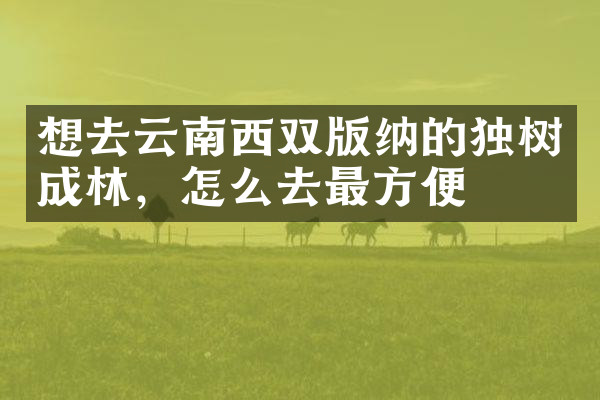 想去云南西双版纳的独树成林，怎么去最方便