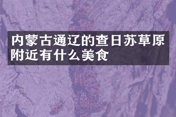内蒙古通辽的查日苏草原附近有什么美食