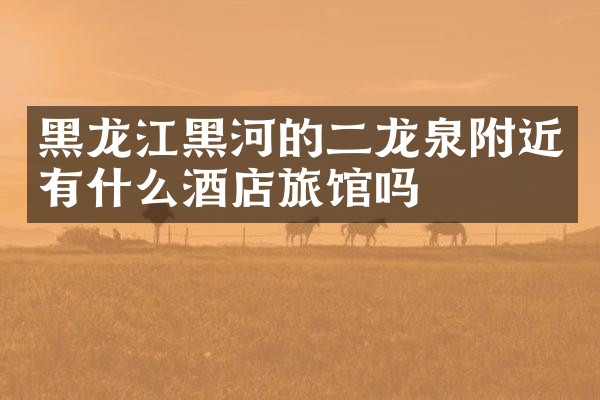 黑龙江黑河的二龙泉附近有什么酒店旅馆吗