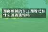 湖南郴州的东江湖附近有什么酒店旅馆吗