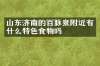 山东济南的百脉泉附近有什么特色食物吗