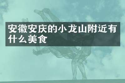 安徽安庆的小龙山附近有什么美食
